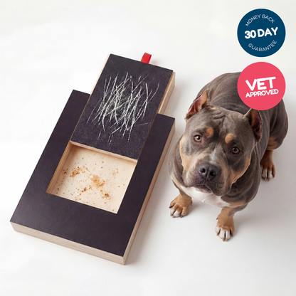 Playnails - nail scratch board