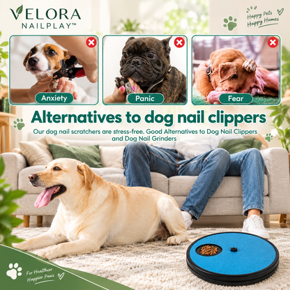 VELORA PAWSCRATCH™—Rotating Pet Nail Scratcher & Treat Board for Dogs & Cats