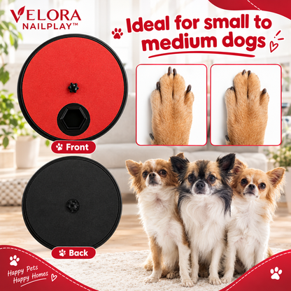 VELORA PAWSCRATCH™—Rotating Pet Nail Scratcher & Treat Board for Dogs & Cats