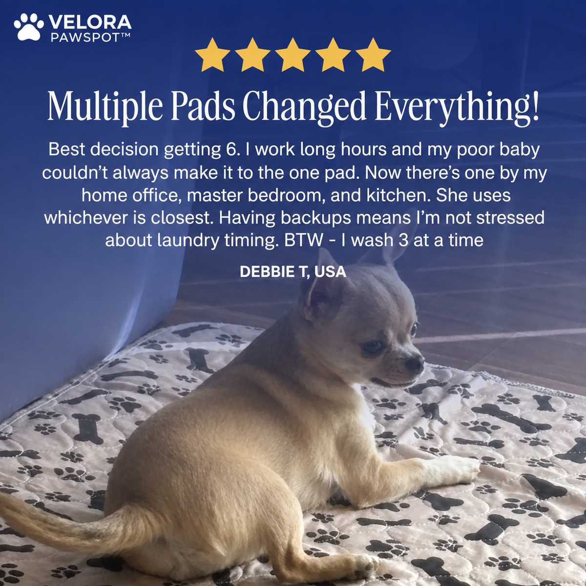 This Pee Pad Attracts🧲🧲🧲 Your Dog To Use It. First Time. Every Time.