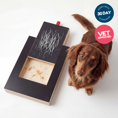 Playnails - nail scratch board