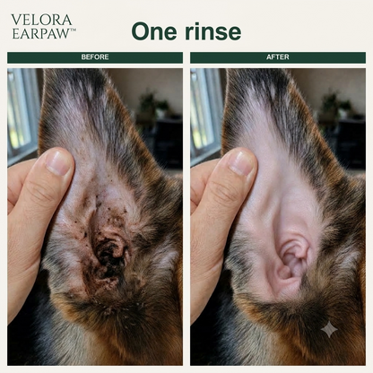 VELORA EARPAW™ — Pet Ear Cleaner