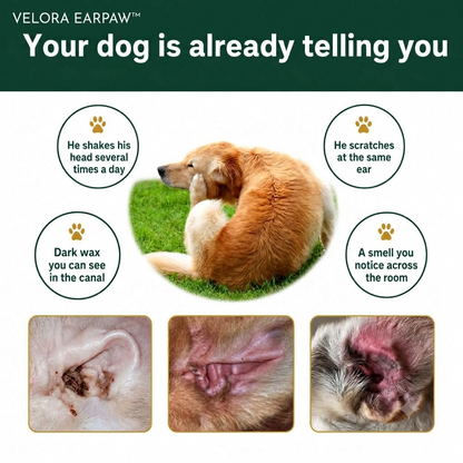 VELORA EARPAW™ — Pet Ear Cleaner