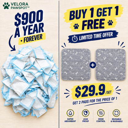 This Pee Pad Attracts🧲🧲🧲 Your Dog To Use It. First Time. Every Time.