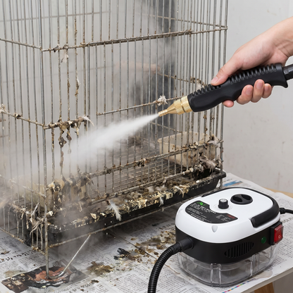 Velora SteamClean™