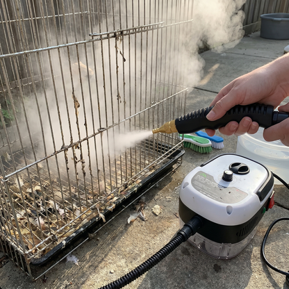 Velora SteamClean™