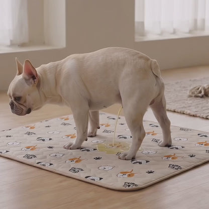 This Pee Pad Attracts🧲🧲🧲 Your Dog To Use It. First Time. Every Time.