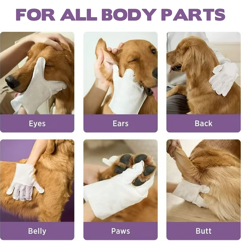 Electric Pet Nail Grinder - Enjoy Calmer, Easier Nail Trims Together 🐶